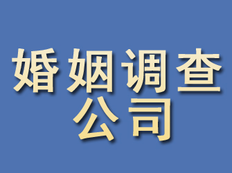 富拉尔基婚姻调查公司